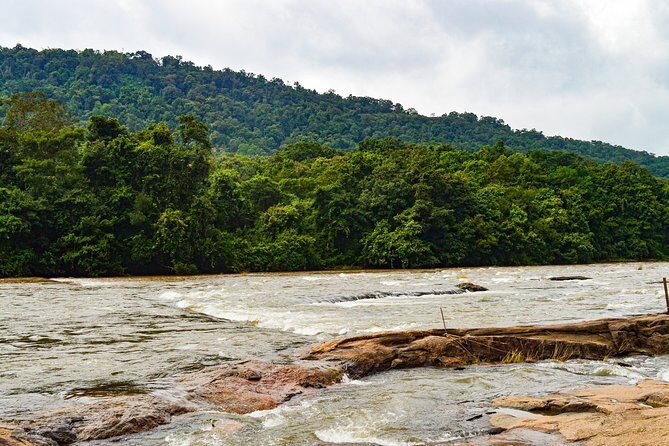 One day trip to Athirapally waterfall and Cherai beach to Kochi. - Key Points