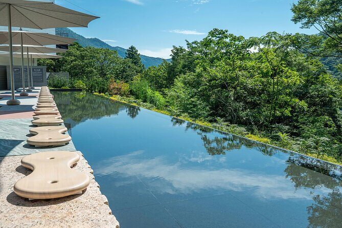 One day trip to Hakone from Tokyo with English speaking Driver - Who Should Consider This Tour?