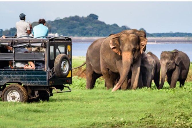 One day Yala National Park from Galle/Hikkaduwa/Mirissa/Unawatuna - Who Will Love This Tour?