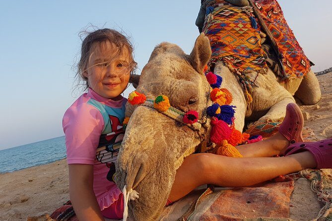 One hour Camel Ride At Amazing Desert With Transfer - Hurghada - The Sum Up