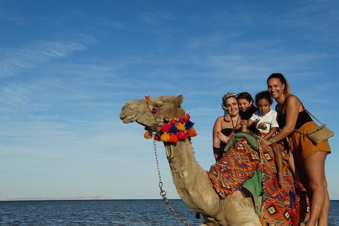 One hour Camel Ride At Amazing Marsa Alam Desert with transfer - Marsa Alam - An In-Depth Look at the Camel Ride Experience