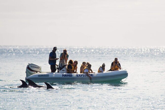 One Hour Cathedral Cove Boat Tour in Hahei - Key Points