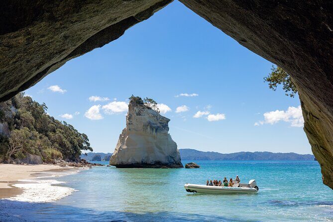 One Hour Cathedral Cove Boat Tour in Hahei - An In-Depth Look at the Tour Experience