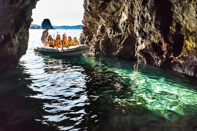 One Hour Cathedral Cove Boat Tour in Hahei - The Sum Up