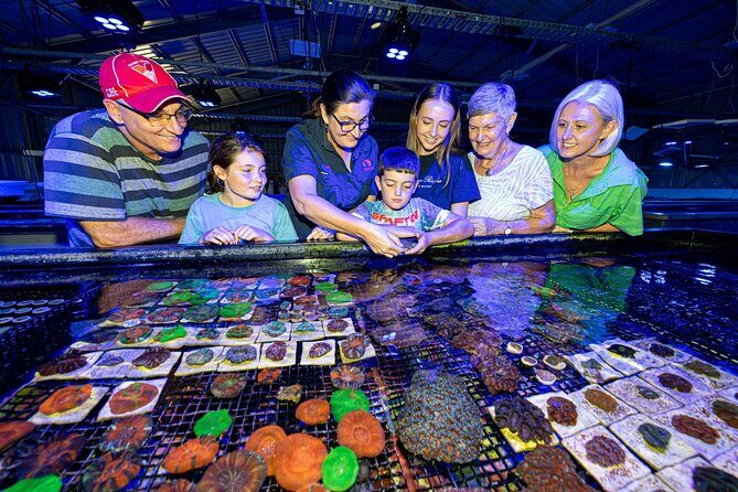 One Hour Coral Farm Tour, Discover Australia's Marine Life - What to Expect from the Tour
