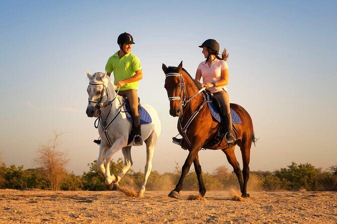 One Hour Desert Horseback Riding Adventure From Sharm El Sheikh - An In-Depth Look at the One Hour Desert Horseback Riding Adventure