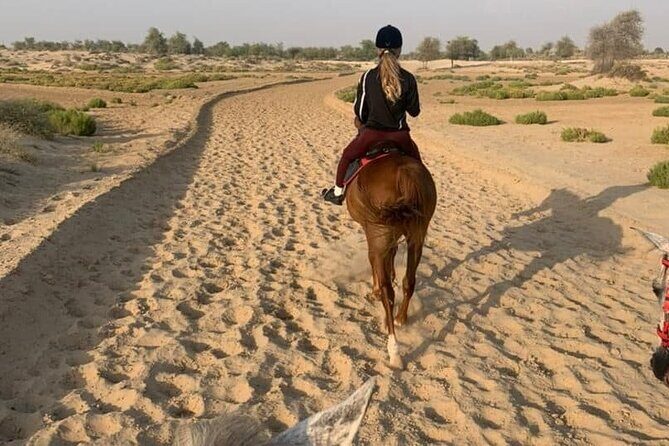 One Hour Desert Horseback Riding Adventure From Sharm El Sheikh - Final Thoughts: Who Should Consider This Tour?