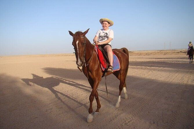 One Hour Horse or Camel Riding with Transfer- Sharm El-Sheikh - Key Points