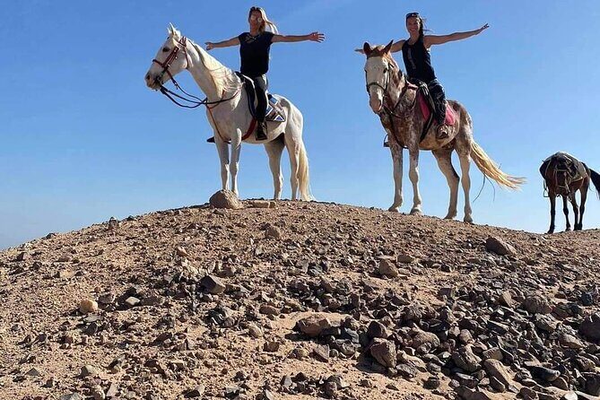 One Hour Horse or Camel Riding with Transfer- Sharm El-Sheikh - The Logistics: Timing and Group Dynamics