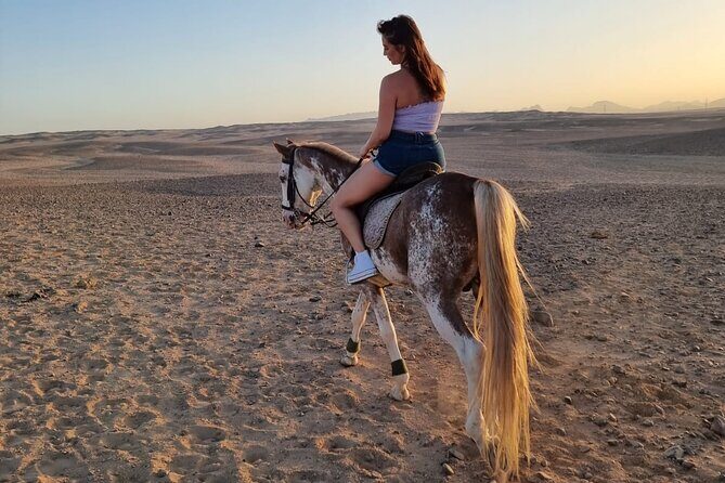 One Hour Horse or Camel Riding with Transfer- Sharm El-Sheikh - Authentic Scenery and Cultural Touches