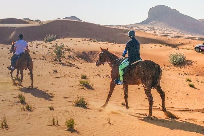 One Hour Horse or Camel Riding with Transfer- Sharm El-Sheikh - Common Praise and Minor Downsides