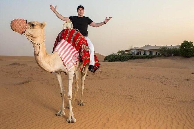 One Hour Horse or Camel Riding with Transfer- Sharm El-Sheikh - Final Thoughts: Who Should Book This Tour?