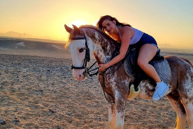 One Hour Horse or Camel Riding with Transfer- Sharm El-Sheikh - FAQ