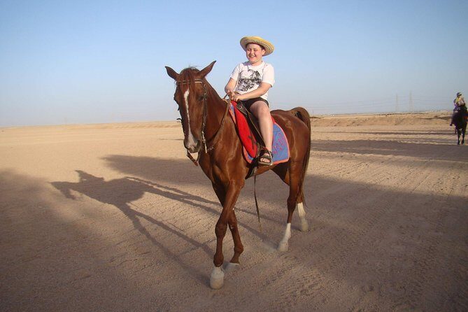 One Hour Horseback Riding Trip with Transfer - Sharm El Sheikh - An Honest Breakdown of the Experience