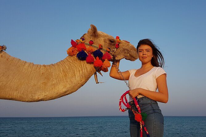 One Hour Horseback Riding Trip with Transfer - Sharm El Sheikh - The Practical Side of Booking and Participation