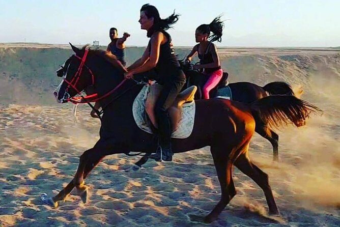 One Hour Horseback Riding Trip with Transfer - Sharm El Sheikh - FAQ