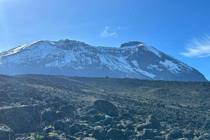 One Kilimanjaro Day hike Tour ISMANI TOURS AND SAFARIS - What the Tour Offers: An Authentic Kilimanjaro Experience in a Day