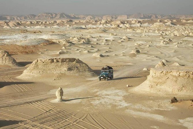 One Night Camping In White & Black Deserts Baharaya Oasis From Cairo - The Sum Up