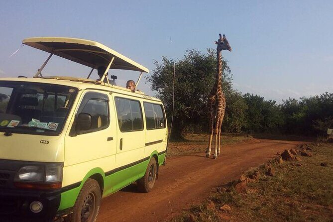 One Night (Mid-range) Amboseli National Park Safari - The Itinerary in Detail: What You’ll Experience