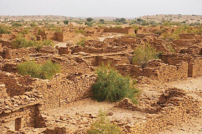 One Night One Day Desert Safari Tour - Key Points