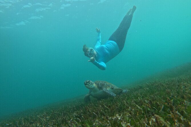 One on One Snorkel Experience - Meeting and Cancellation Policies