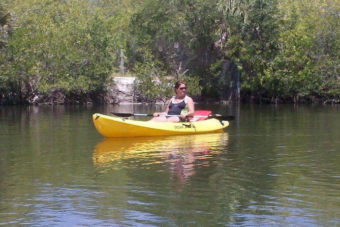 One Single Kayak Rental for 2 hours with Manatee & Dolphin sightings! - What Makes This Experience Special