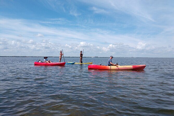 One Tandem Kayak Rental for 2 hours with Manatee & Dolphin sightings! - Practical Tips for Your Paddle