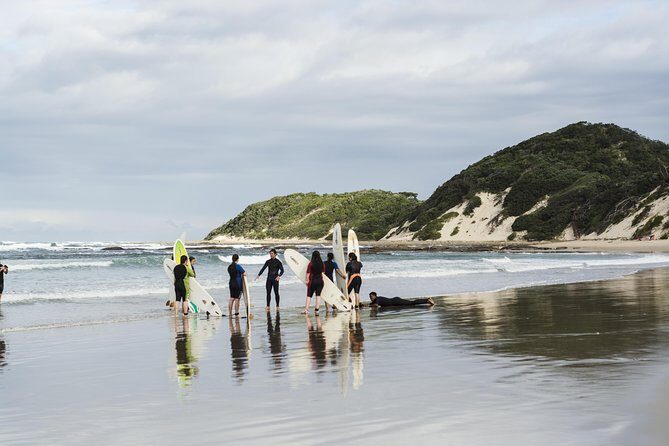 One-Way Hop-on Hop-off Bus from Port Elizabeth to Cape Town - Who Will Benefit Most?