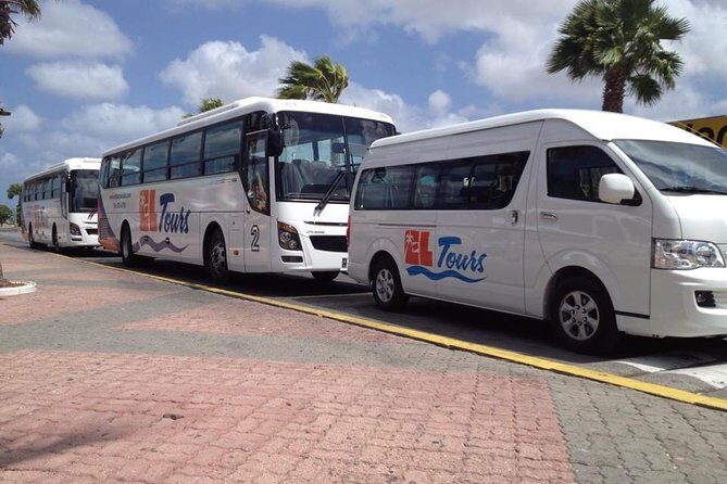 One Way Private Airport Transfer - Comfortable and Hassle-Free: Reviewing the Aruba Private Airport Transfer