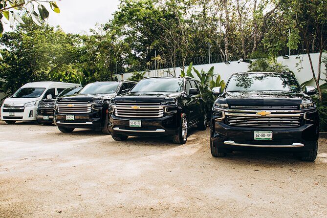 One Way Private Transfer Cancun Int Airport - Playa del Carmen - An In-Depth Review of the Cancun to Playa del Carmen Private Transfer