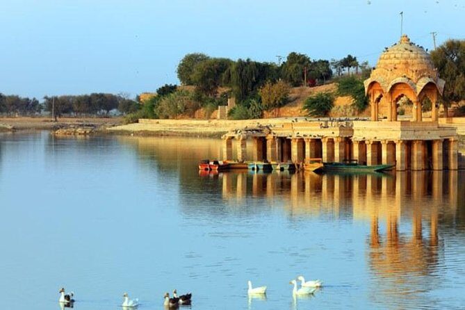 One Way Transfer From Jaisalmer To Jodhpur - Authentic Experiences and Passenger Feedback