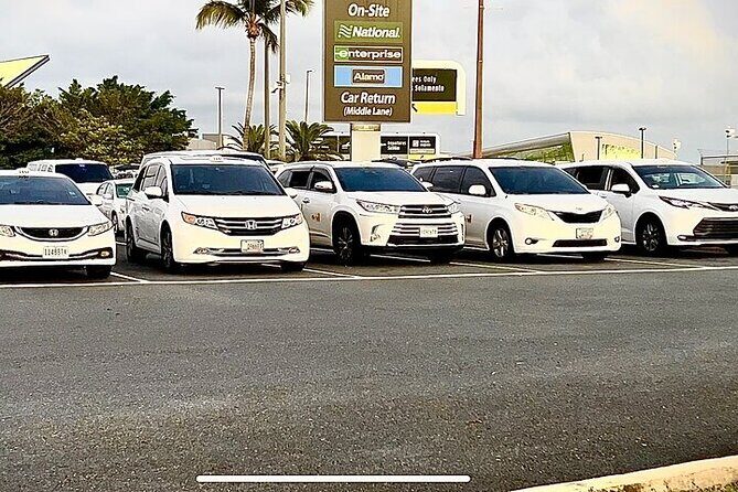 One-way transfer from SJU Airport to Cruise Port or Vice Versa - Why This Transfer Service Stands Out