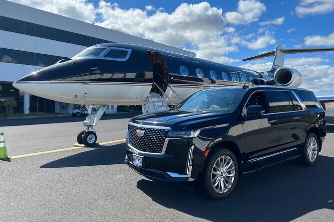 One-Way VIP Transfer: Honolulu Airport, Ko Olina, Cruise Port - Who Is This Service Best For?