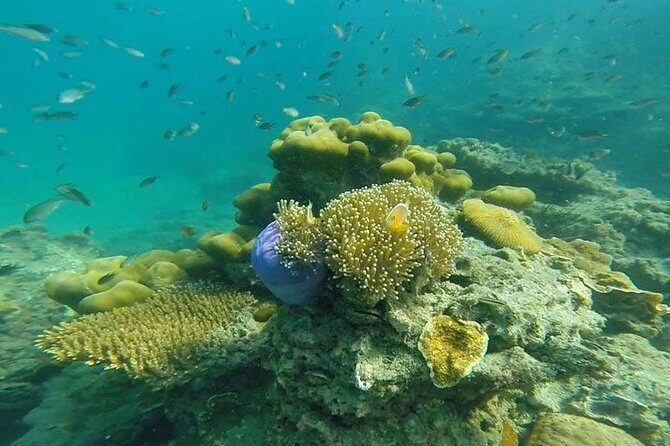 Oneday Tour 4 Islands and Emerald Cave By Tin Adventure Sea Tour from Koh Lanta - Introduction