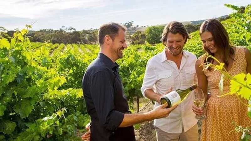 Ontario: Afternoon Wine Tour and Cheese Pairing - A Closer Look at the Tour: What’s Included and What to Expect