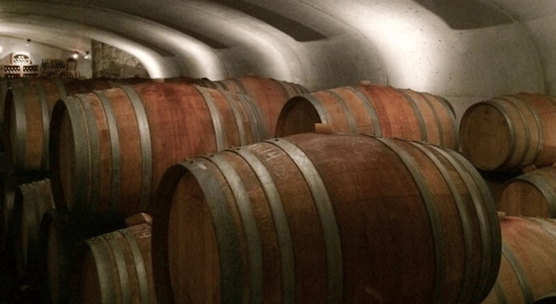 Ontario: Afternoon Wine Tour and Cheese Pairing - Final Thoughts: Is It Worth It?