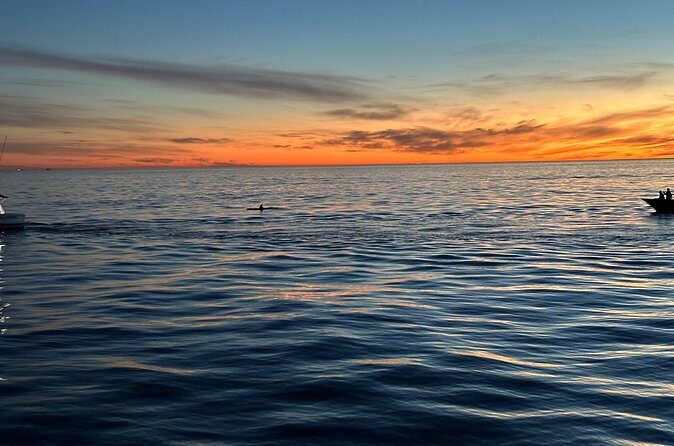 Open Boat Whale Watching - Detailed Itinerary Breakdown