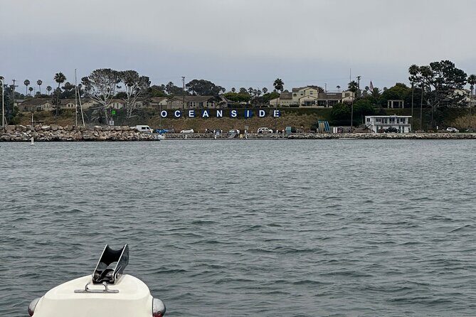 Open Boat Whale Watching - The Sum Up: Is This Tour Right for You?