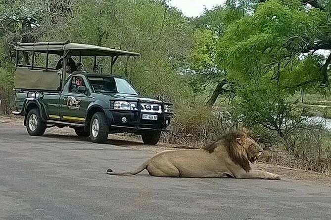Open Vehical Safari in Kruger National Park Half Day - Who Will Love This Tour?
