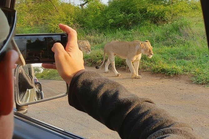 Open Vehical Safari in Kruger National Park Half Day - Final Thoughts
