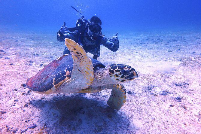 Open Water Certification Course-PADI - The Sum Up