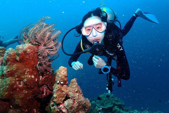 Open Water Course - Become certified diver in 3 days - Introduction: An Honest Look at the Koh Tao Open Water Course