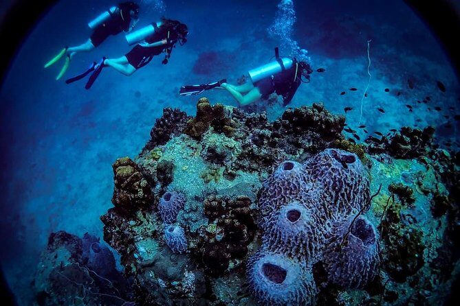 Open Water Course - Become certified diver in 3 days - Key Points