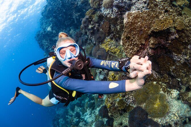 Open Water Course - Become certified diver in 3 days - The Transportation and Meeting Details