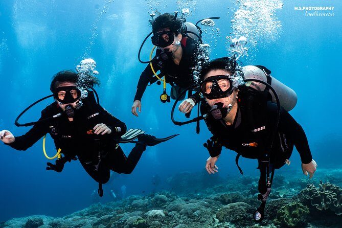 Open Water Course in Tulamben - Get Certified in Bali - Frequently Asked Questions