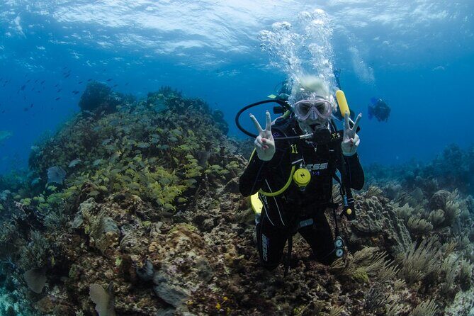 Open Water course Isla Mujeres - Introduction