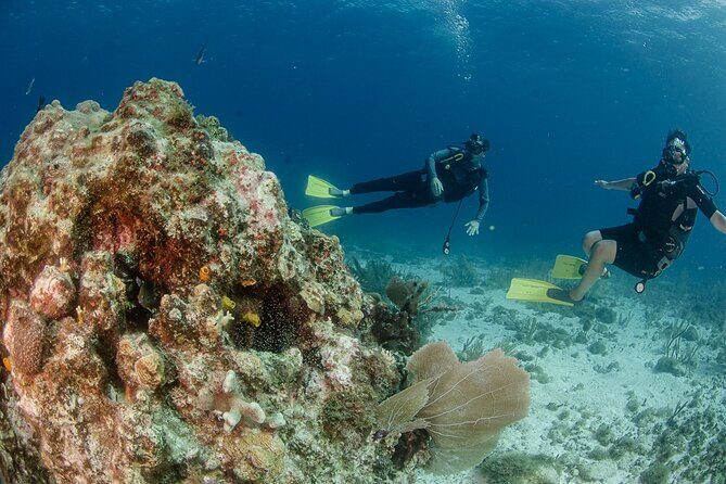 Open Water course Isla Mujeres - Insights from Reviews