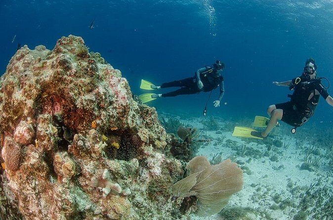 Open Water course Isla Mujeres - Analyzing the Cost and Value