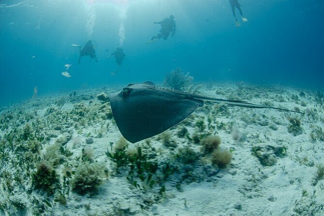Open Water course Isla Mujeres - The Sum Up