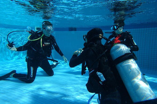 Open Water Diver 2-Day PADI Course in Playa del Carmen - What to Expect from the 2-Day PADI Course